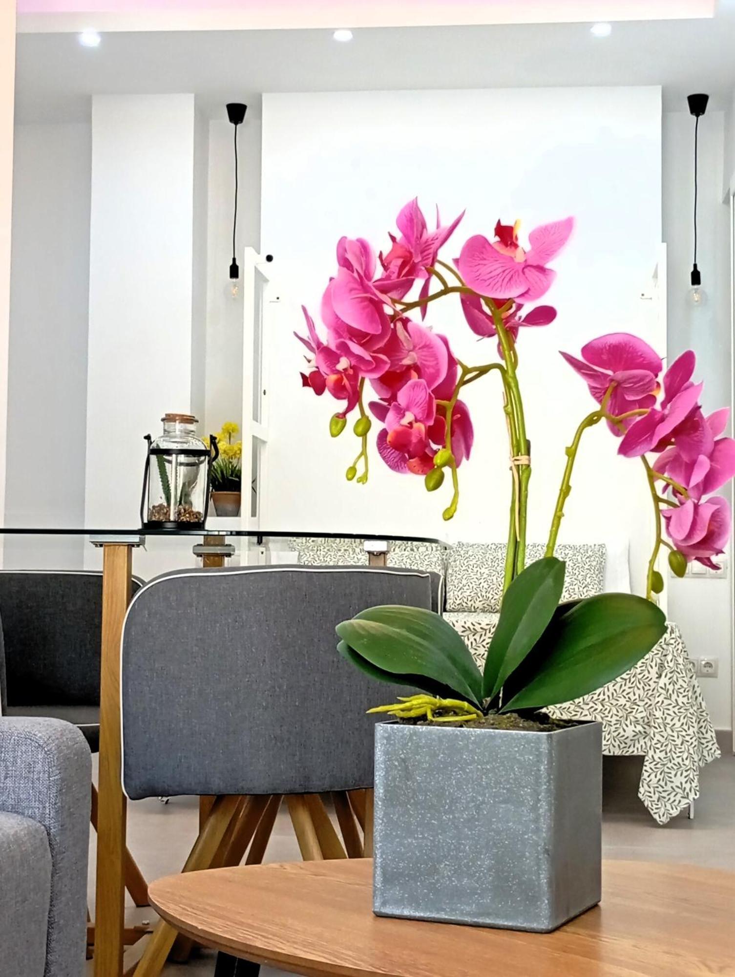 La Luz De Malaga C Apartment Екстериор снимка